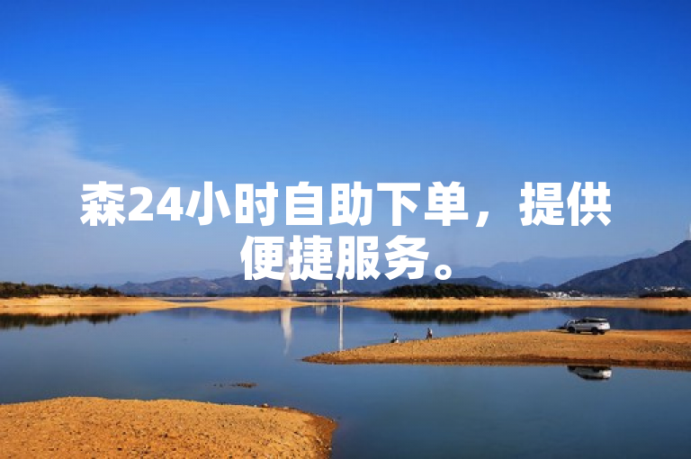 森24小时自助下单，提供便捷服务。