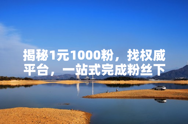揭秘1元1000粉，找权威平台，一站式完成粉丝下单！