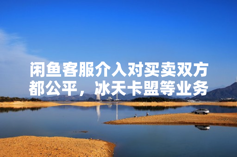 闲鱼客服介入对买卖双方都公平，冰天卡盟等业务下单网站应规范运营。