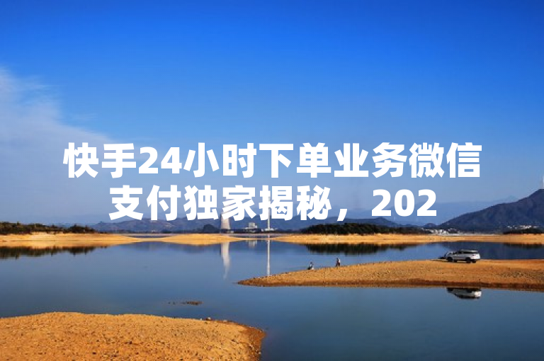 快手24小时下单业务微信支付独家揭秘，2025必学。