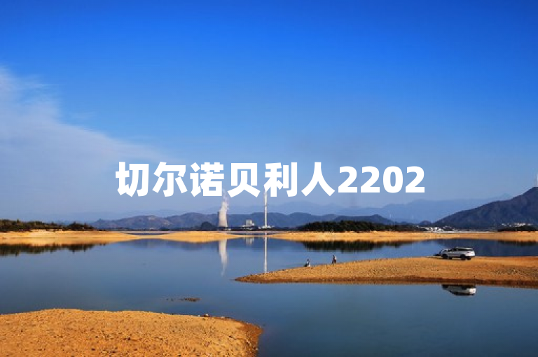 切尔诺贝利人22025年跨平台上线，PC与主机玩家同赴核灾冒险。