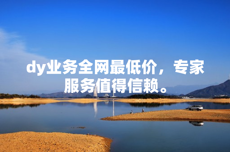 dy业务全网最低价，专家服务值得信赖。