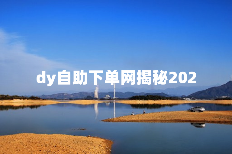 dy自助下单网揭秘2025必学的便捷下单平台全攻略！