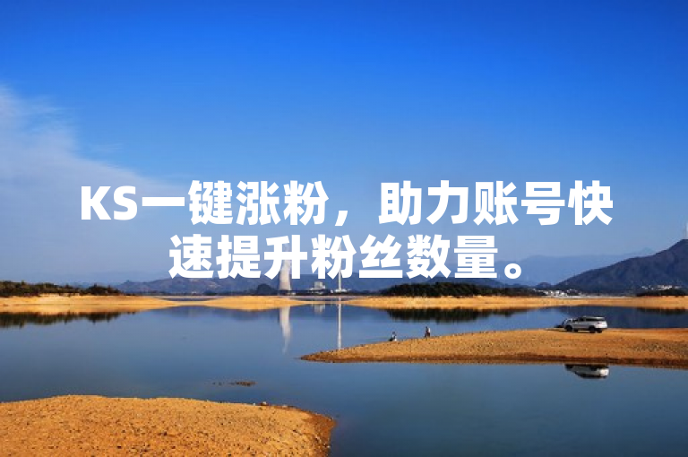 KS一键涨粉，助力账号快速提升粉丝数量。
