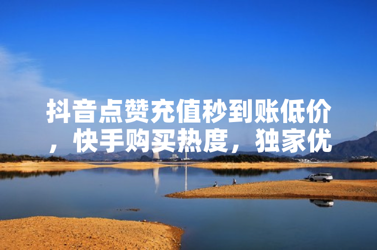 抖音点赞充值秒到账低价，快手购买热度，独家优惠揭秘。