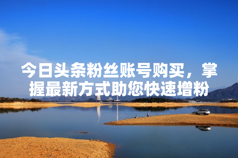 今日头条粉丝账号购买，掌握最新方式助您快速增粉。