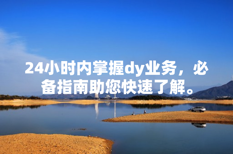 24小时内掌握dy业务，必备指南助您快速了解。