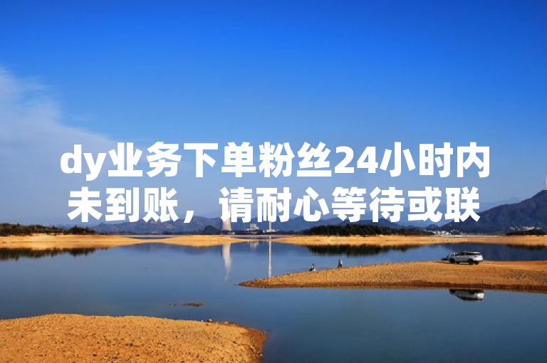 dy业务下单粉丝24小时内未到账，请耐心等待或联系客服。