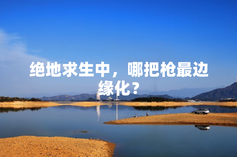 绝地求生中，哪把枪最边缘化？