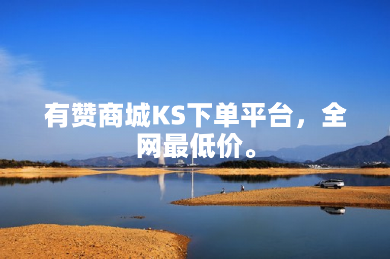 有赞商城KS下单平台，全网最低价。