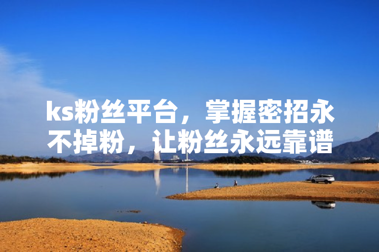 ks粉丝平台，掌握密招永不掉粉，让粉丝永远靠谱。