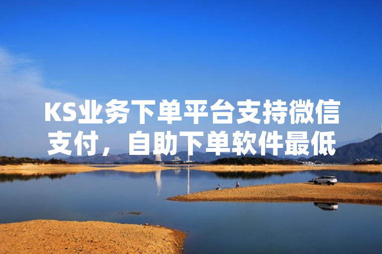 KS业务下单平台支持微信支付，自助下单软件最低价，dy粉丝增加app。
