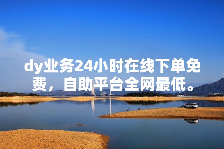 dy业务24小时在线下单免费，自助平台全网最低。