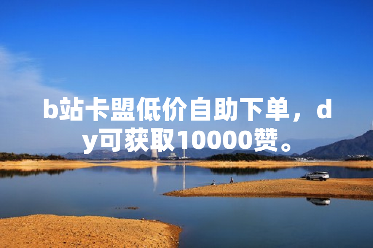 b站卡盟低价自助下单，dy可获取10000赞。
