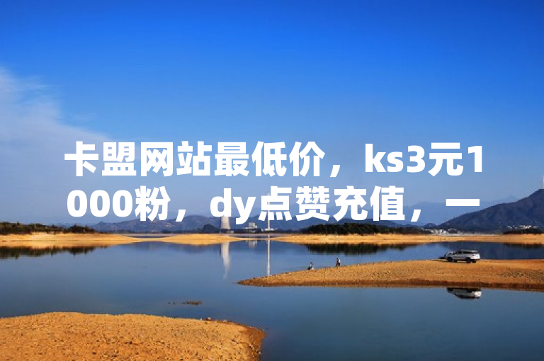 卡盟网站最低价，ks3元1000粉，dy点赞充值，一元秒杀独家揭秘。