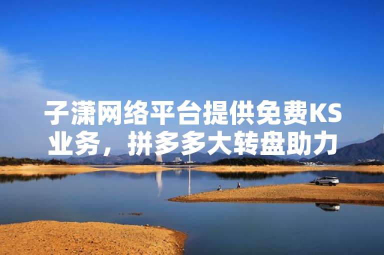 子潇网络平台提供免费KS业务，拼多多大转盘助力网站，在线下单享全网最低价。