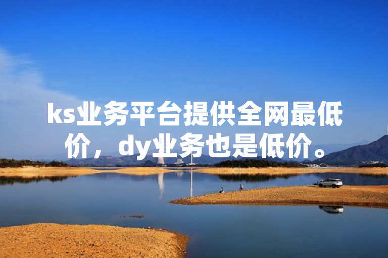 ks业务平台提供全网最低价，dy业务也是低价。