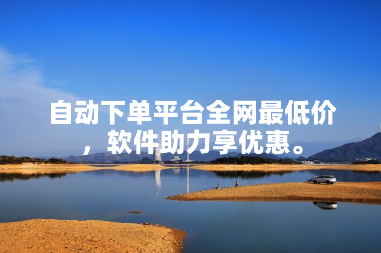 自动下单平台全网最低价，软件助力享优惠。