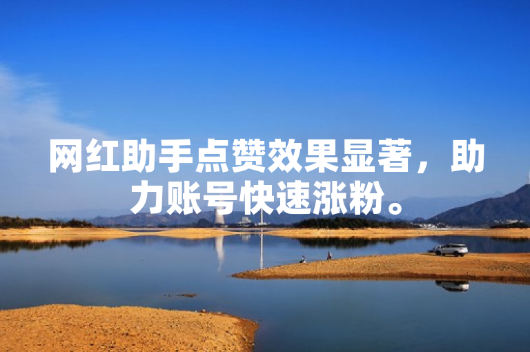 网红助手点赞效果显著，助力账号快速涨粉。