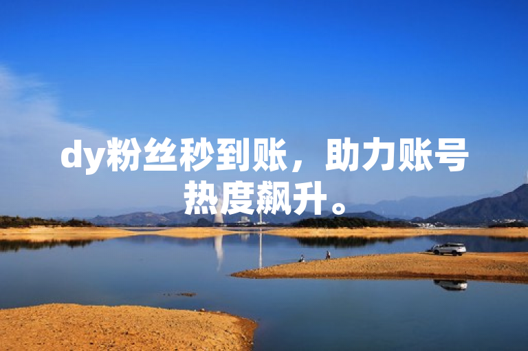 dy粉丝秒到账，助力账号热度飙升。