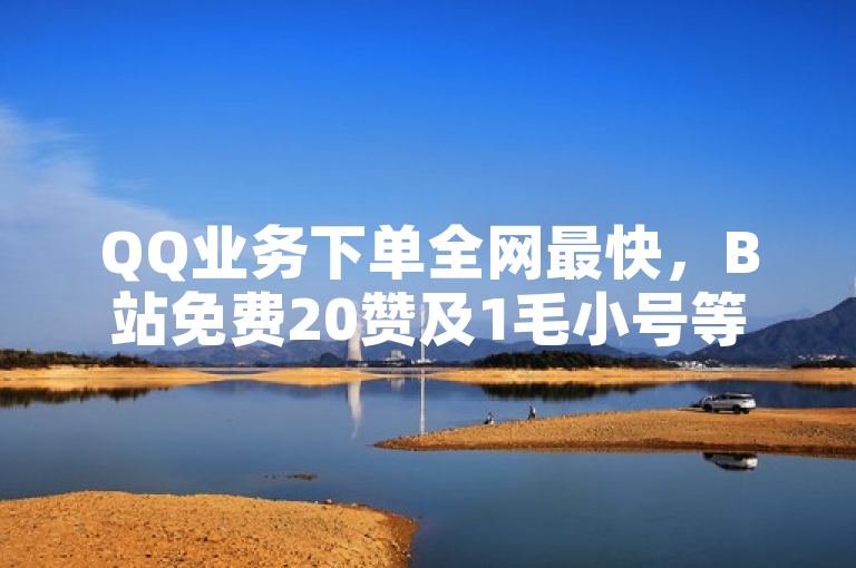 QQ业务下单全网最快，B站免费20赞及1毛小号等你选购。