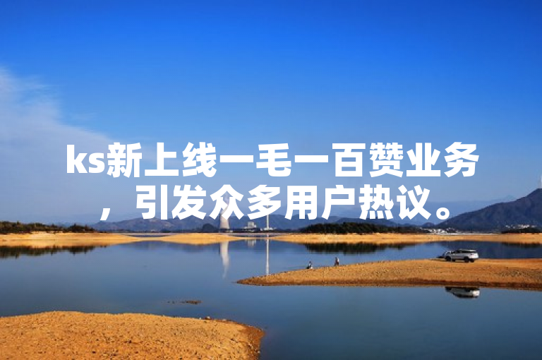 ks新上线一毛一百赞业务，引发众多用户热议。