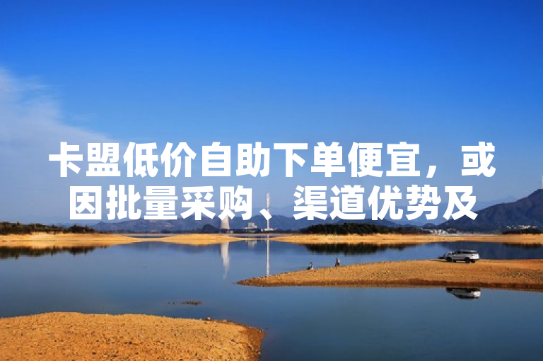 卡盟低价自助下单便宜，或因批量采购、渠道优势及成本控制。